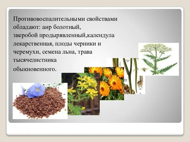 Противовоспалительными свойствами обладают: аир болотный, зверобой продырявленный,календула лекарственная, плоды черники и