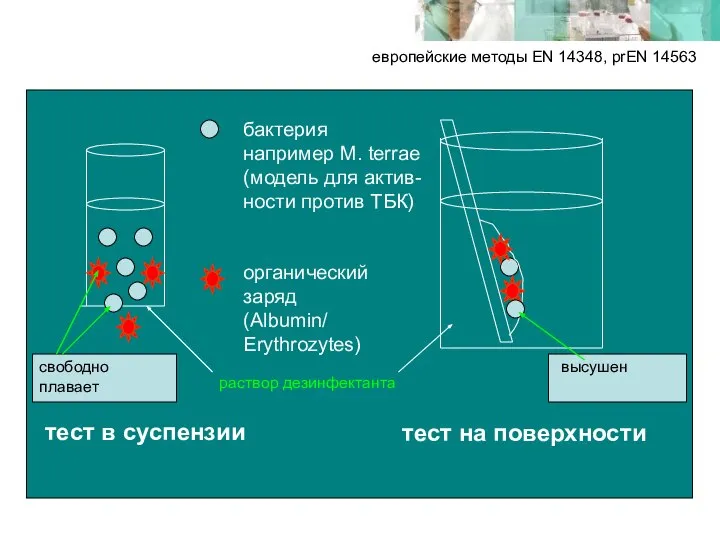 европейские методы EN 14348, prEN 14563 бактерия например M. terrae (модель