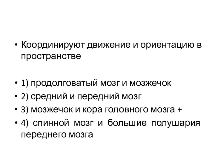 Координируют движение и ориентацию в пространстве 1) продолговатый мозг и мозжечок