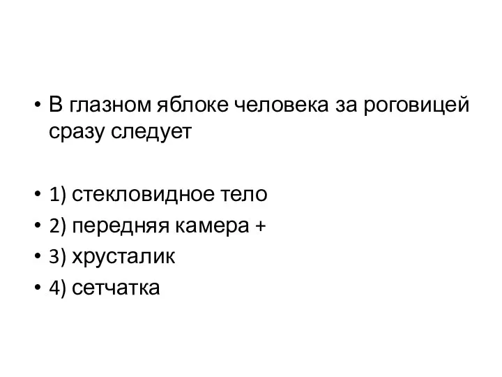 В глазном яблоке человека за роговицей сразу следует 1) стекловидное тело