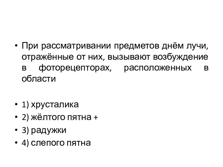 При рассматривании предметов днём лучи, отражённые от них, вызывают возбуждение в