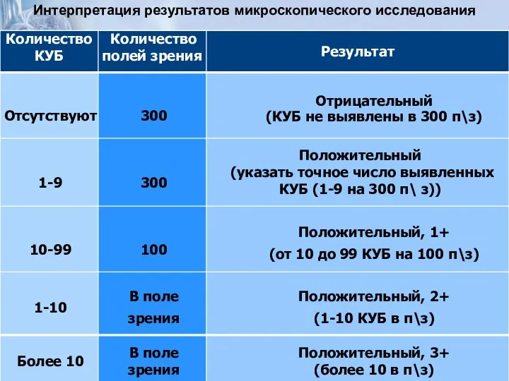 Интерпретация результатов микроскопического исследования