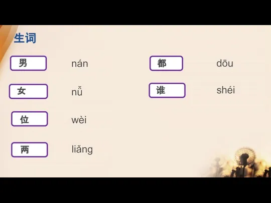 生词 nán nǚ wèi dōu shéi liǎng