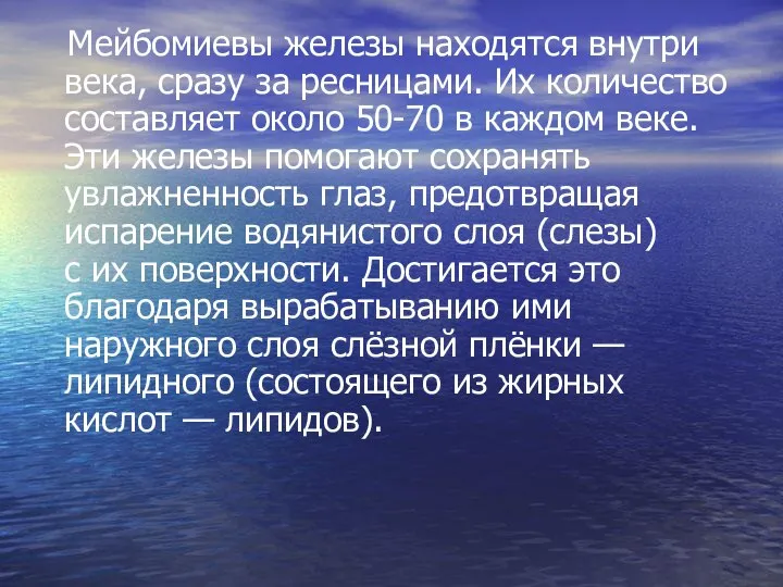 Мейбомиевы железы находятся внутри века, сразу за ресницами. Их количество составляет