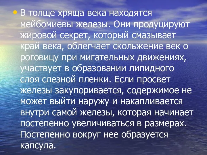 В толще хряща века находятся мейбомиевы железы. Они продуцируют жировой секрет,