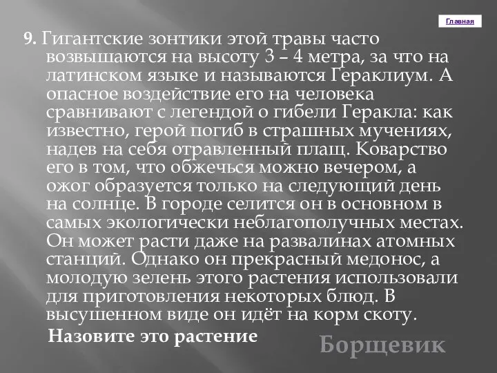 Главная 9. Гигантские зонтики этой травы часто возвышаются на высоту 3