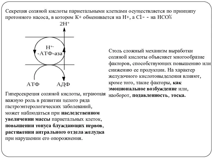 Секреция соляной кислоты париетальными клетками осуществляется по принципу протонного насоса, в