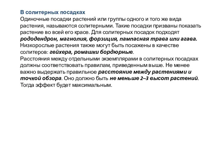 В солитерных посадках Одиночные посадки растений или группы одного и того