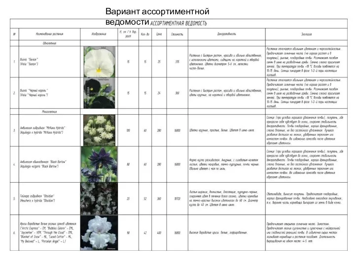 Вариант ассортиментной ведомости