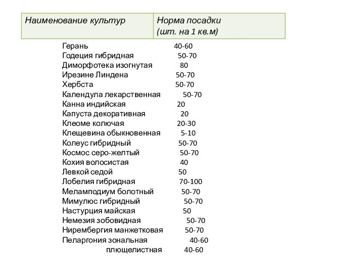 Герань 40-60 Годеция гибридная 50-70 Диморфотека изогнутая 80 Ирезине Линдена 50-70