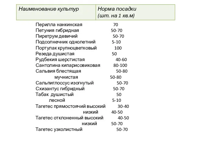 Перилла нанкинская 70 Петуния гибридная 50-70 Пиретрум девичий 50-70 Подсолнечник однолетний