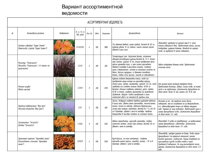 Вариант ассортиментной ведомости