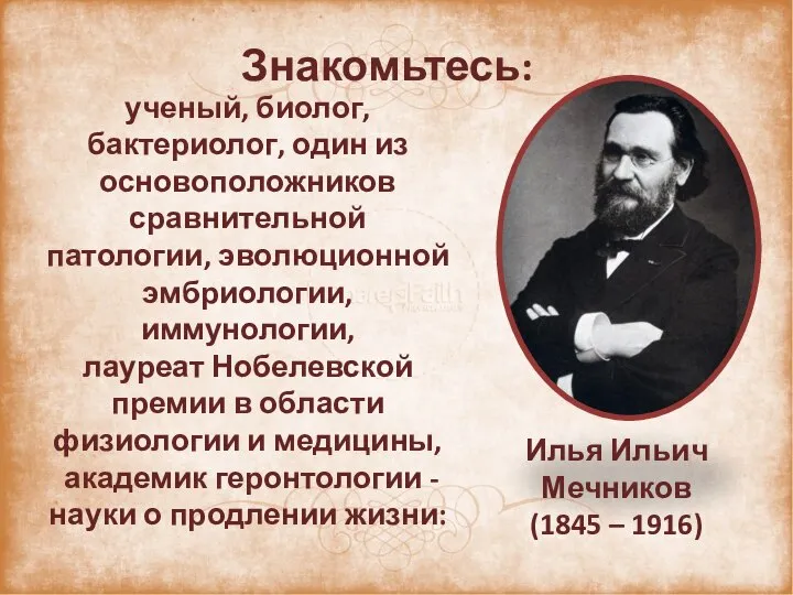 Знакомьтесь: Илья Ильич Мечников (1845 – 1916) ученый, биолог, бактериолог, один