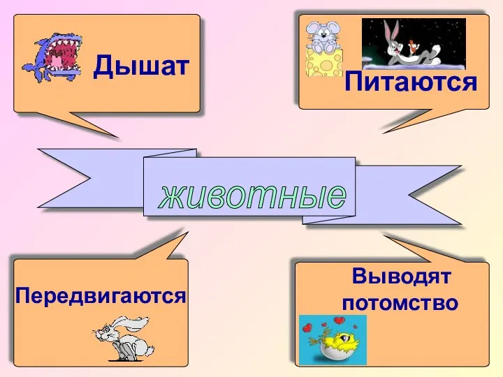 животные Дышат Питаются Передвигаются Выводят потомство