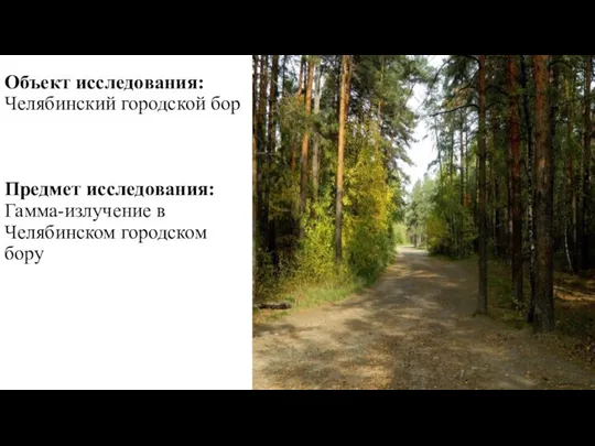 Объект исследования: Челябинский городской бор Предмет исследования: Гамма-излучение в Челябинском городском бору