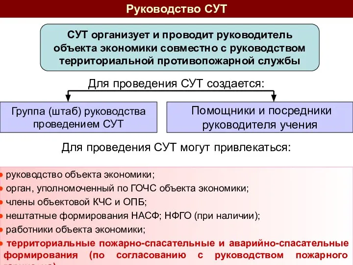 Руководство СУТ СУТ организует и проводит руководитель объекта экономики совместно с