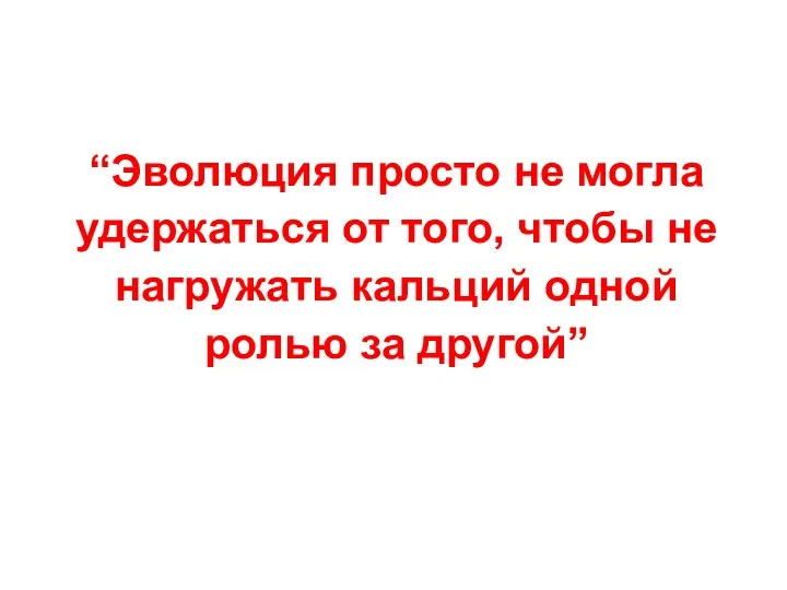 “Эволюция просто не могла удержаться от того, чтобы не нагружать кальций одной ролью за другой”