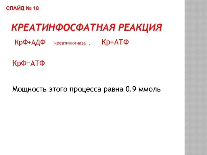 КРЕАТИНФОСФАТНАЯ РЕАКЦИЯ КрФ+АДФ креатинкиназа Кр+АТФ КрФ=АТФ Мощность этого процесса равна 0.9 ммоль СЛАЙД № 18