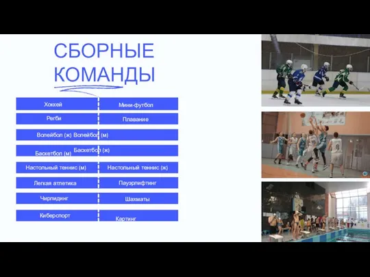 Хоккей СБОРНЫЕ КОМАНДЫ Регби Волейбол (ж) Волейбол (м) Баскетбол (м) Баскетбол