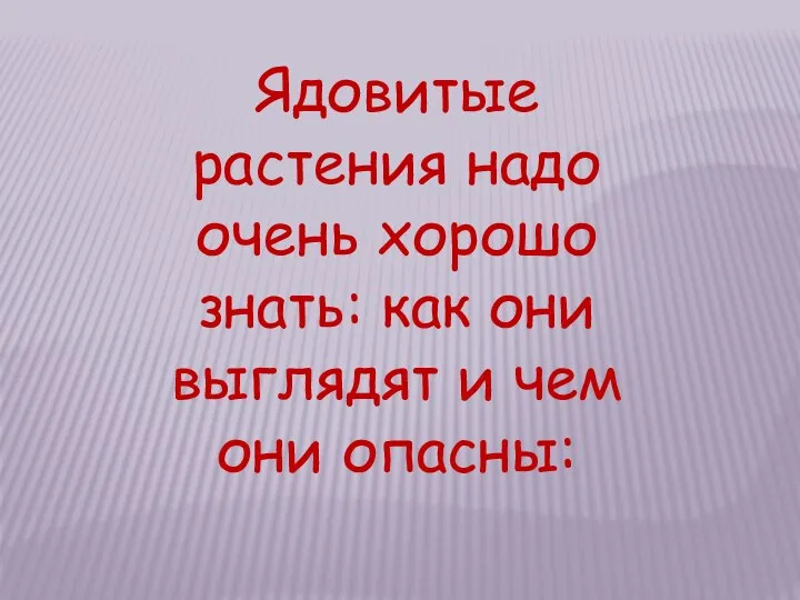 Ядовитые растения надо очень хорошо знать: как они выглядят и чем они опасны: