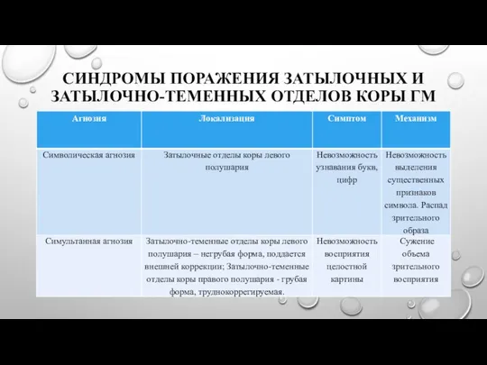 СИНДРОМЫ ПОРАЖЕНИЯ ЗАТЫЛОЧНЫХ И ЗАТЫЛОЧНО-ТЕМЕННЫХ ОТДЕЛОВ КОРЫ ГМ