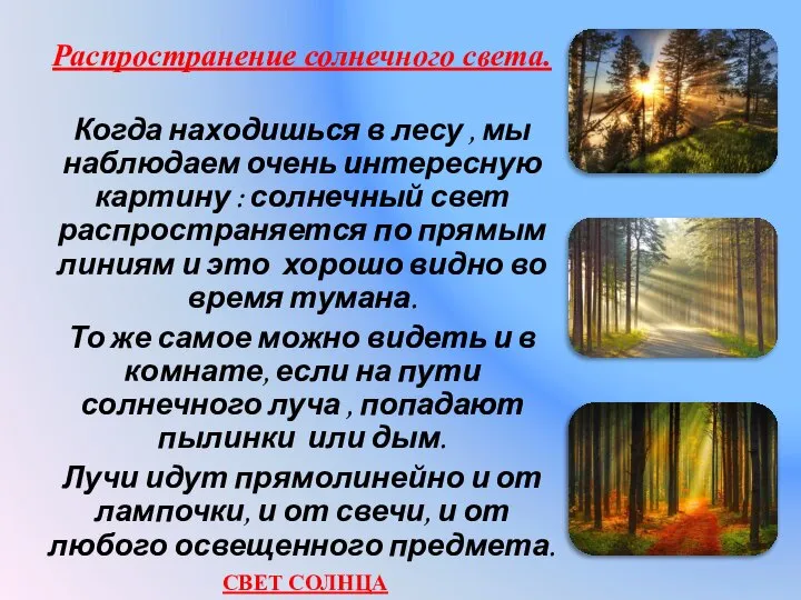 Распространение солнечного света. Когда находишься в лесу , мы наблюдаем очень