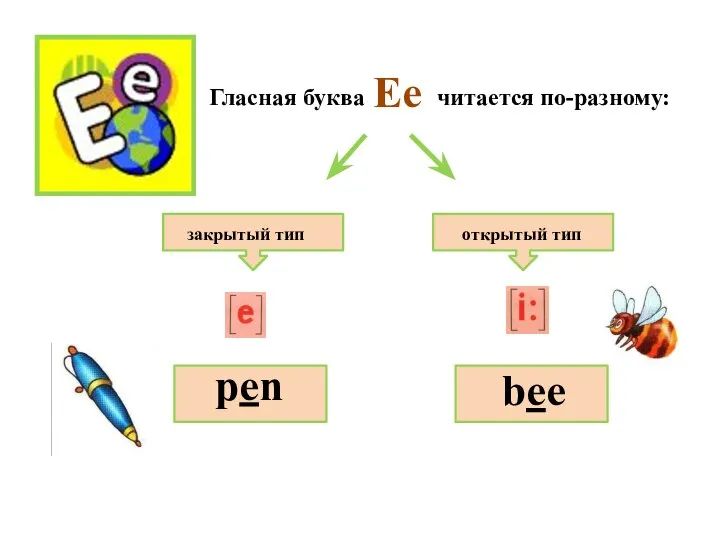 Гласная буква читается по-разному: закрытый тип открытый тип pen bee Ee