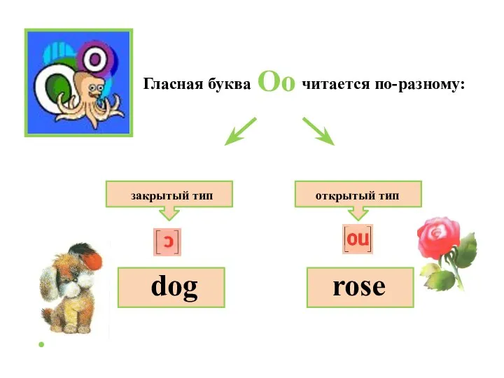 закрытый тип открытый тип Гласная буква читается по-разному: rose dog Oo