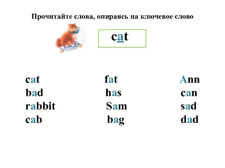 cat fat Ann bad has can rabbit Sam sad cab bag