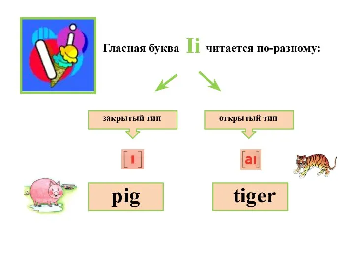 закрытый тип открытый тип Гласная буква читается по-разному: pig tiger Ii