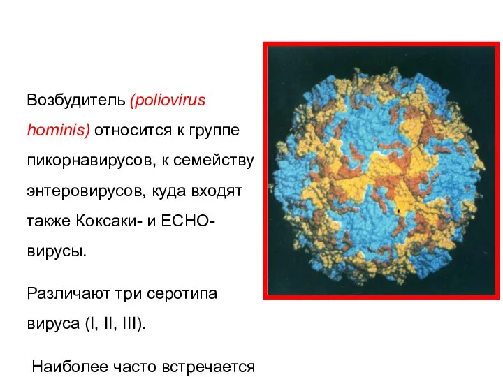 Возбудитель (poliovirus hominis) относится к группе пикорнавирусов, к семейству энтеровирусов, куда