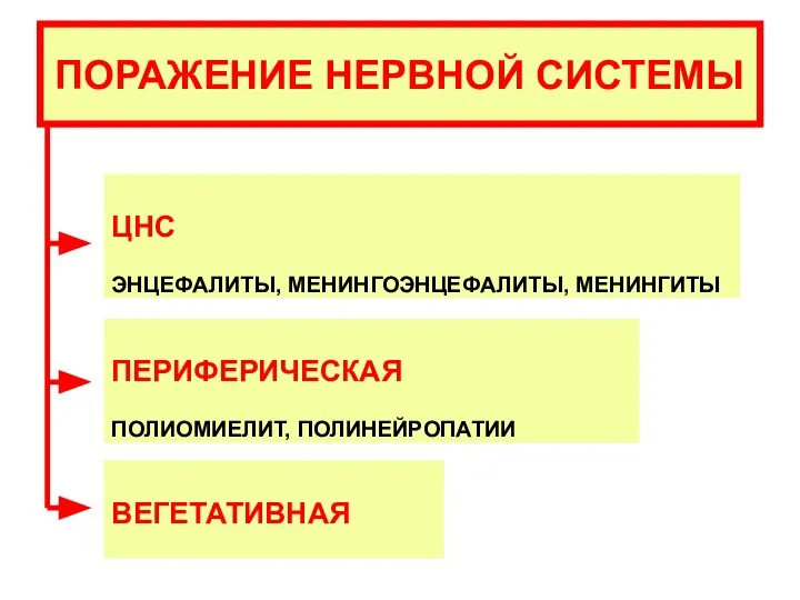 ПОРАЖЕНИЕ НЕРВНОЙ СИСТЕМЫ ЦНС ЭНЦЕФАЛИТЫ, МЕНИНГОЭНЦЕФАЛИТЫ, МЕНИНГИТЫ ПЕРИФЕРИЧЕСКАЯ ПОЛИОМИЕЛИТ, ПОЛИНЕЙРОПАТИИ ВЕГЕТАТИВНАЯ