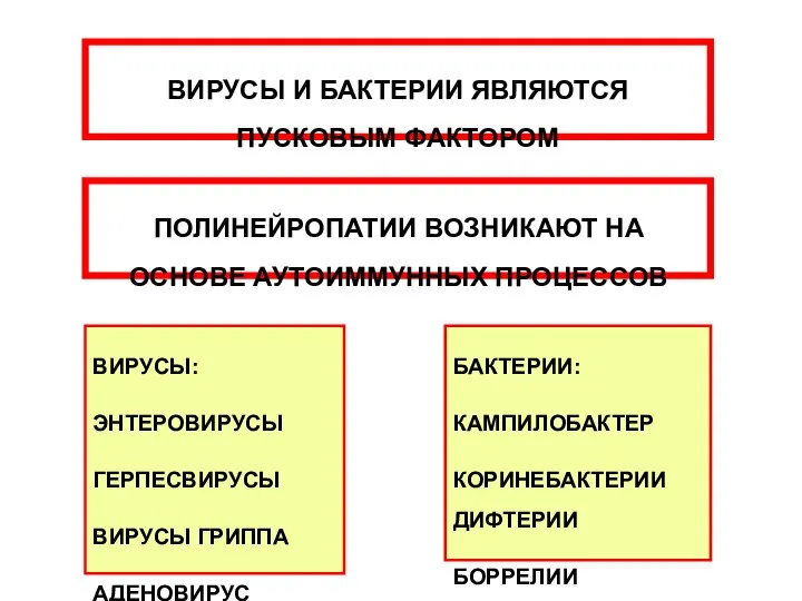 ПОЛИНЕЙРОПАТИИ ВОЗНИКАЮТ НА ОСНОВЕ АУТОИММУННЫХ ПРОЦЕССОВ ВИРУСЫ: ЭНТЕРОВИРУСЫ ГЕРПЕСВИРУСЫ ВИРУСЫ ГРИППА