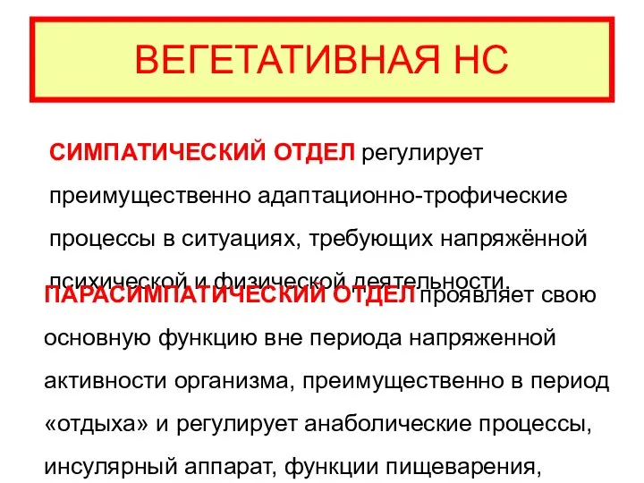 ВЕГЕТАТИВНАЯ НС СИМПАТИЧЕСКИЙ ОТДЕЛ регулирует преимущественно адаптационно-трофические процессы в ситуациях, требующих