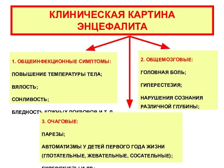 КЛИНИЧЕСКАЯ КАРТИНА ЭНЦЕФАЛИТА 1. ОБЩЕИНФЕКЦИОННЫЕ СИМПТОМЫ: ПОВЫШЕНИЕ ТЕМПЕРАТУРЫ ТЕЛА; ВЯЛОСТЬ; СОНЛИВОСТЬ;