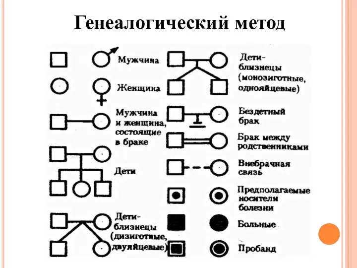 Генеалогический метод