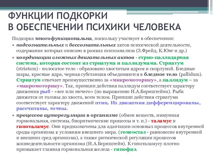 ФУНКЦИИ ПОДКОРКИ В ОБЕСПЕЧЕНИИ ПСИХИКИ ЧЕЛОВЕКА Подкорка многофункциональна, поскольку участвует в