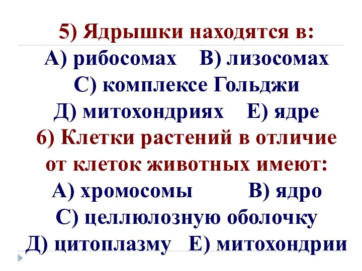 5) Ядрышки находятся в: А) рибосомах В) лизосомах С) комплексе Гольджи