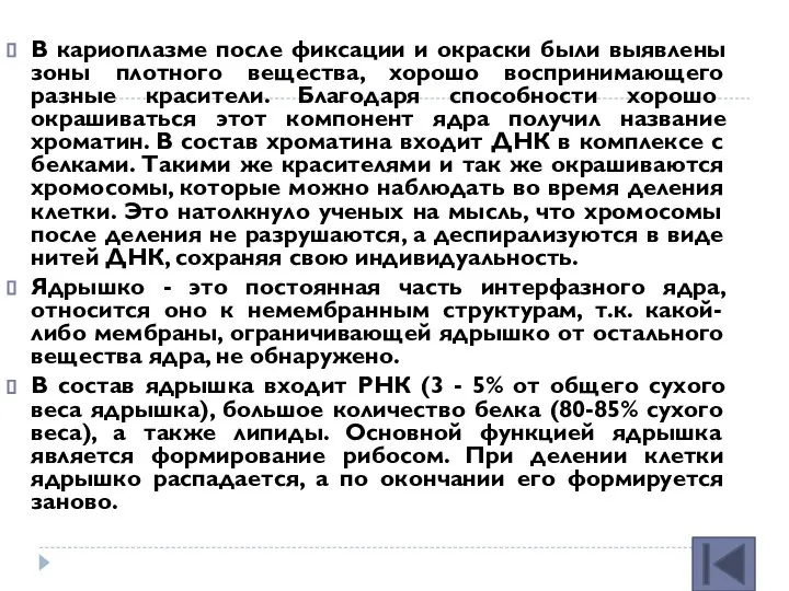 В кариоплазме после фиксации и окраски были выявлены зоны плотного вещества,