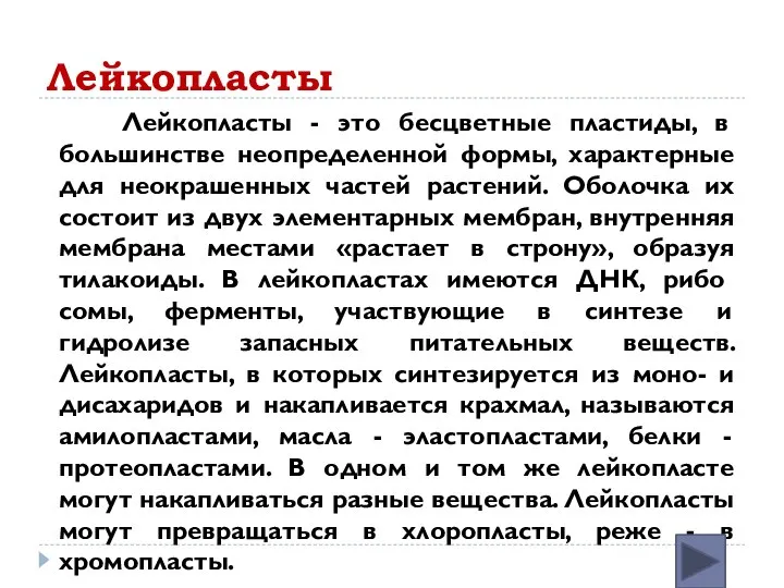 Лейкопласты Лейкопласты - это бесцветные пластиды, в большинстве неопределенной формы, характерные