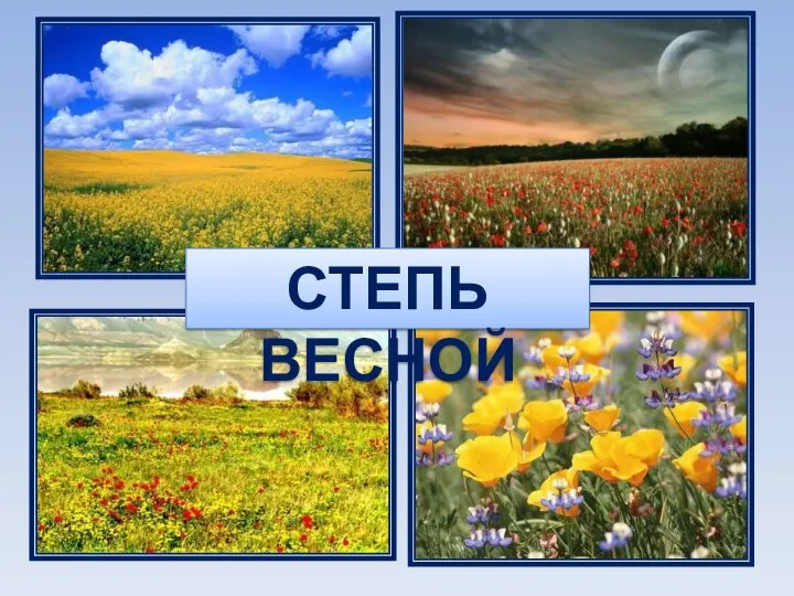 СТЕПЬ ВЕСНОЙ