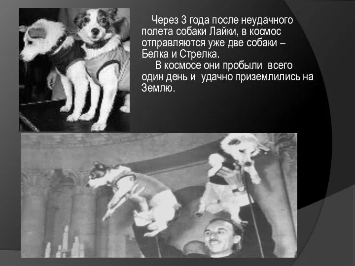 Через 3 года после неудачного полета собаки Лайки, в космос отправляются