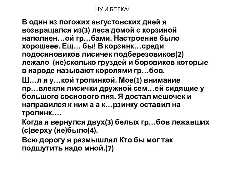 НУ И БЕЛКА! В один из погожих августовских дней я возвращался