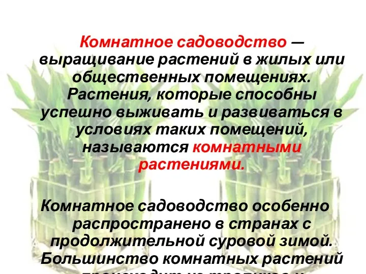 Комнатное садоводство — выращивание растений в жилых или общественных помещениях. Растения,