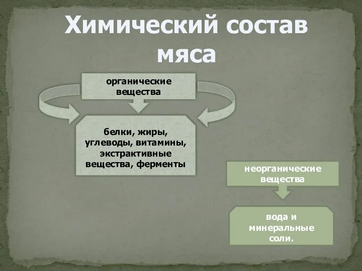 Химический состав мяса органические вещества белки, жиры, углеводы, витамины, экстрактивные вещества,