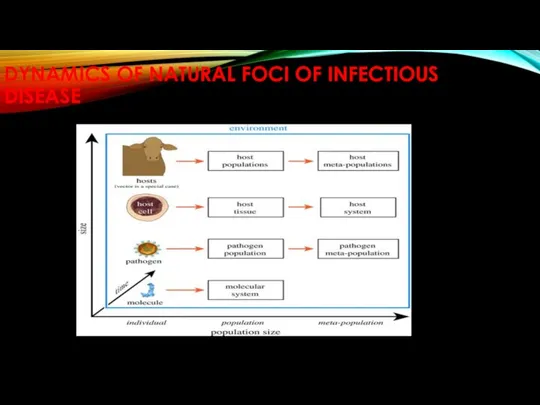 DYNAMICS OF NATURAL FOCI OF INFECTIOUS DISEASE