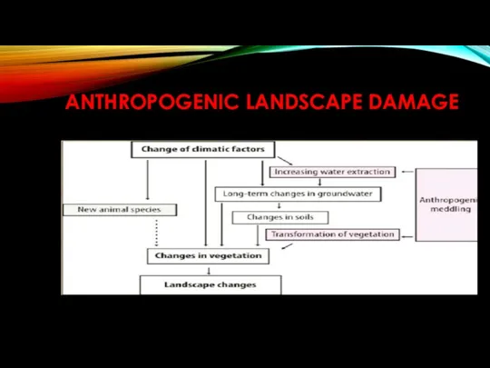 ANTHROPOGENIC LANDSCAPE DAMAGE