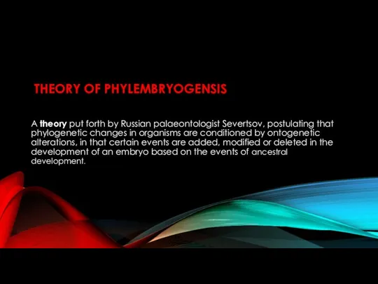 THEORY OF PHYLEMBRYOGENSIS A theory put forth by Russian palaeontologist Severtsov,