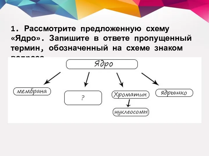 1. Рассмотрите предложенную схему «Ядро». Запишите в ответе пропущенный термин, обозначенный на схеме знаком вопроса.