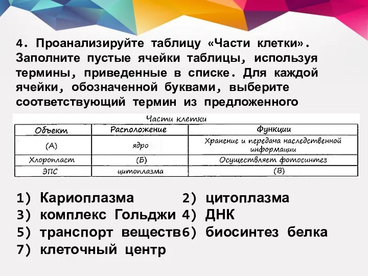 4. Проанализируйте таблицу «Части клетки». Заполните пустые ячейки таблицы, используя термины,